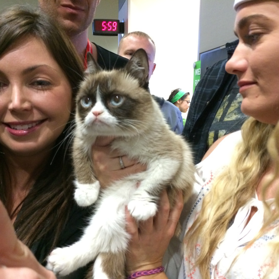 Grumpy cat at SXSW